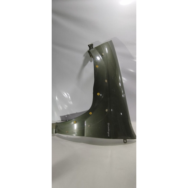 Paralama Lado Esquerdo Fiat Palio Weekend 2016