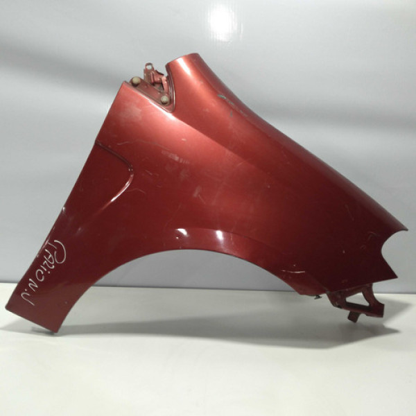 Paralama Fiat Palio Novo Lado Direito 