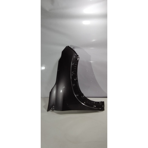 Paralama Lado Direito Fiat Pulse 2022 