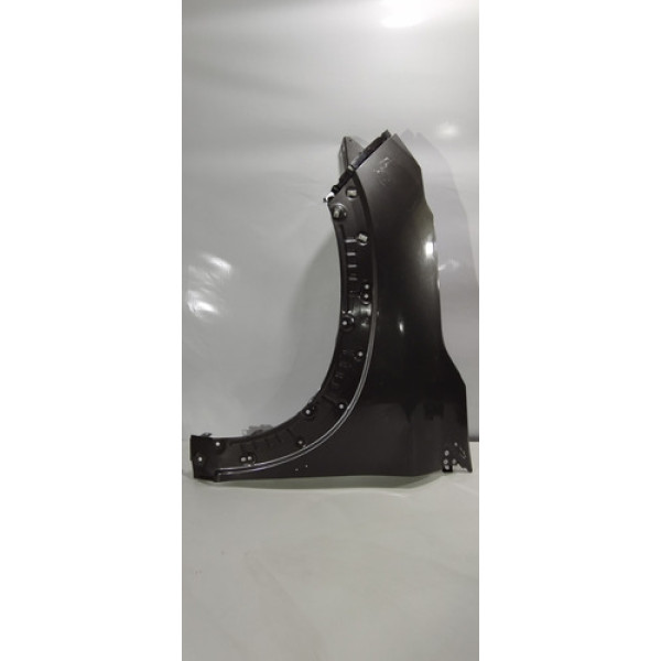 Paralama Lado Esquerdo Fiat Pulse 2022 