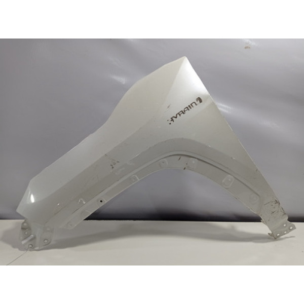 Paralama Lado Esquerdo Toyota Rav 4 2020